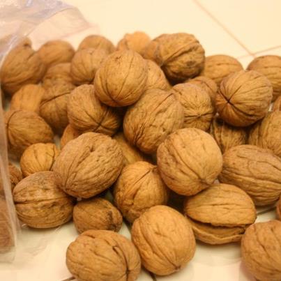 Health benefits of Walnut , Healthy Diet Tips,Balance Cholesterol,Cure Insomnia, Healthy Brain Function