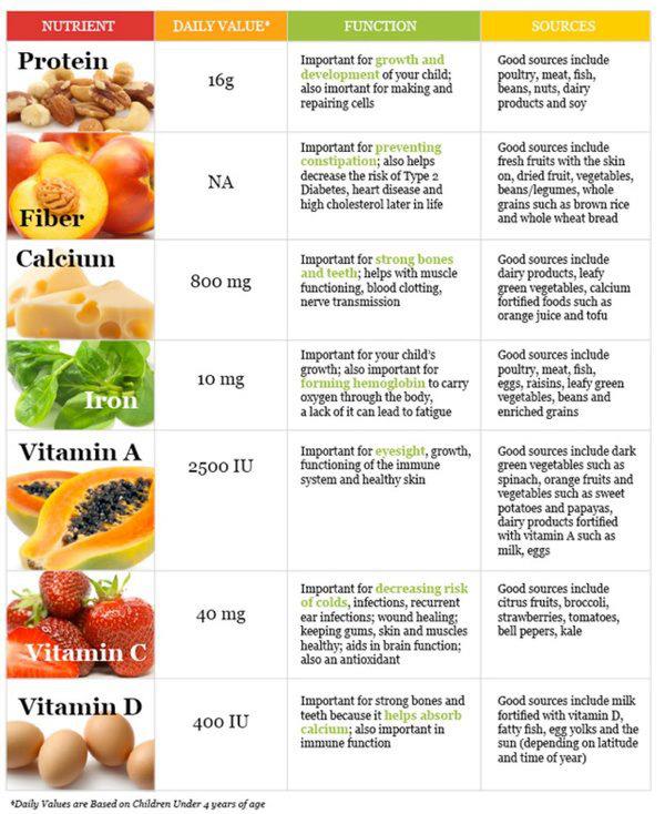 List of Nutrients an