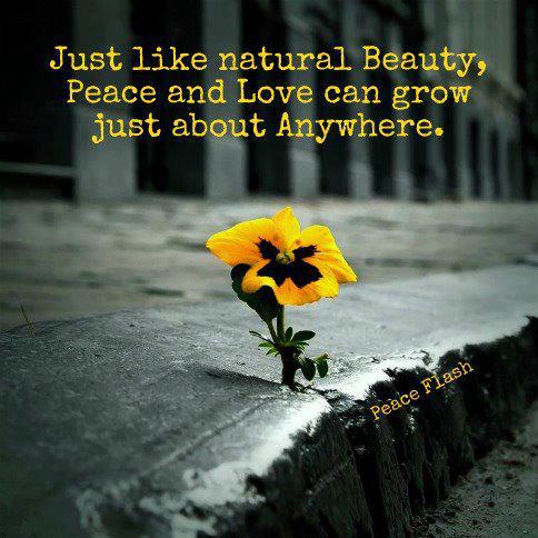 natural beauty,peace,love,Positive Thinking,Inspirational Quotes, Motivational Thoughts and Pictures
