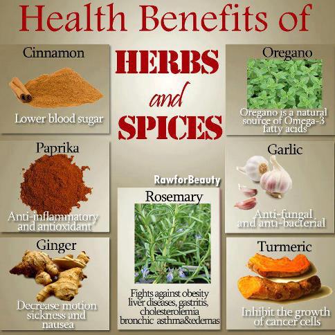 Health benefits of Herbs & Spices , Daily Health Tips, Turmeric, Cinnamon, Ginger, Garlic, Rosemary, Paprika