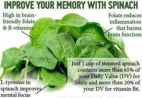 Health Benefits of Spinach,Improve Memory, Improve Mental Focus, Increase Brain Power, Folate, Vitamin B6