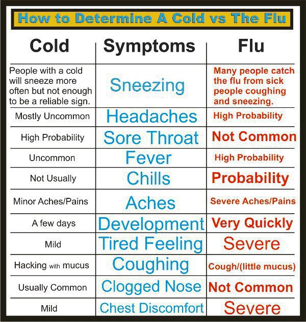 Comparison between Flu & Cold,Health Inspirations,Tips,Inspirational Quotes, Pictures and Motivational Thought  