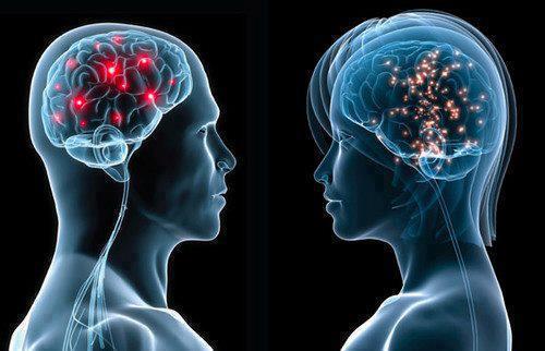 Human Brain Analysis - Man vs. Woman