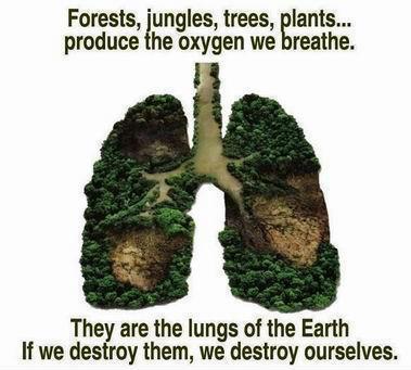 Health quote,images,health tips,save trees