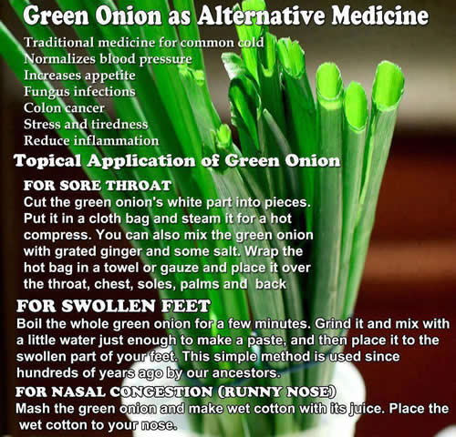 Green onion as alternative medicine 