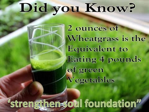 Health tips; Benefits of wheatgrass