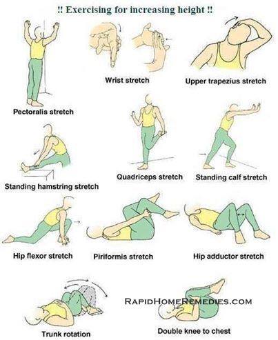 Healthy Living Exercise