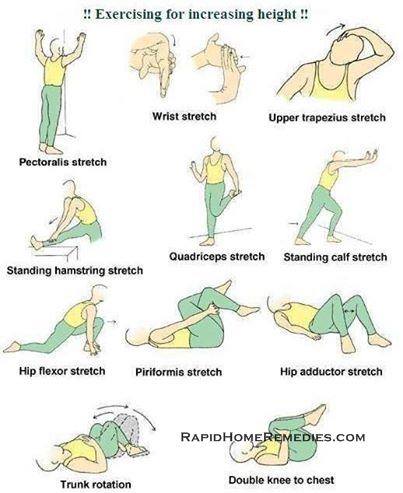 Exercise for Increasing Height