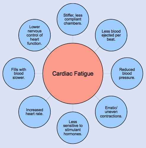  skipped heart beats,cardiac fatigue 
