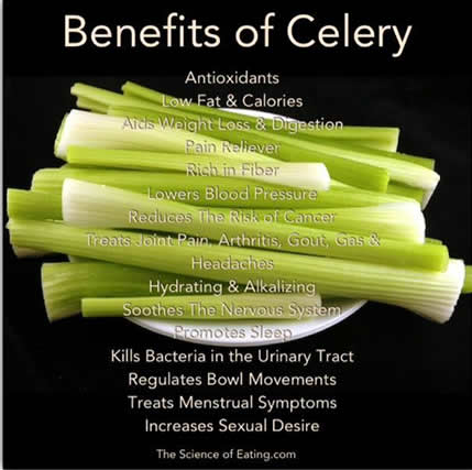 healthy food ,tips ,Benefits of celery