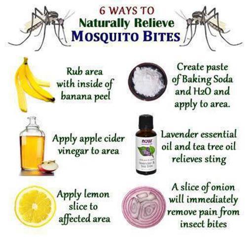 6 ways to naturally relieve mosquito bites