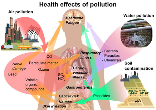 Health effects of pollution