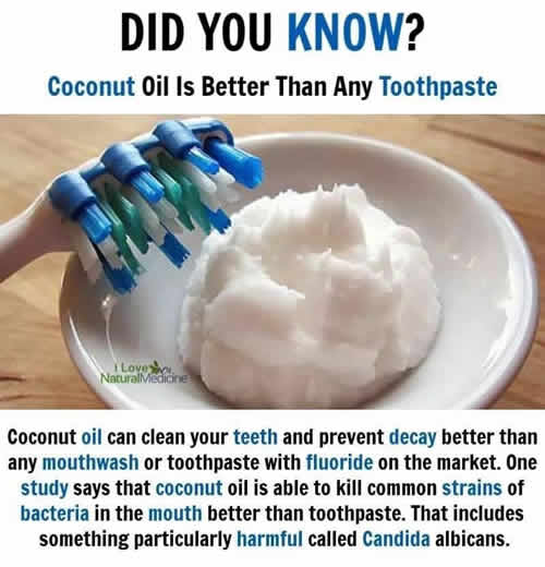 did u know ..coconut oil is better than any tooth-pest 