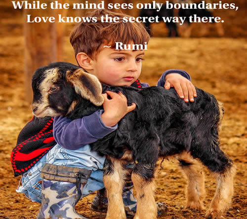 Love Quotes ,rumi quote,Inspirational Quotes, Motivational Thoughts and Pictures