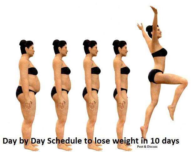 Day by Day Schedule to lose weight in 10 days