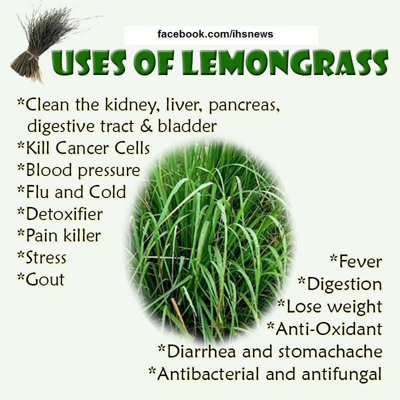 Home Remedy  Health Inspiration,Health benefits of Lemongrass